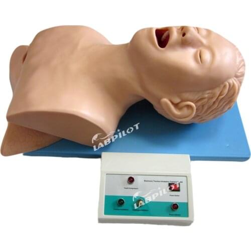 Electronic Tracheal Intubation Simulator Head Model, Adult Oral and Nasal Intubation Trainer