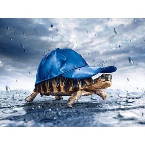 DIY Painting By Numbers Tortoise with a cap Kit Coloring By Numbers Wall Art Acrylic Canvas Paintings Home Decoration Gift