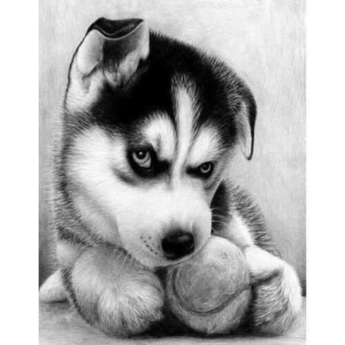 Diy Diamond Painting Cross Stitch Huskies Diamond Embroidery Dog Diamond Mosaic Household Decoration Paintings Full Round Drill