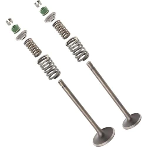 For Honda XR200R XL185S ATC200 Springs Intake Exhaust Valves kit ATC200E ATC200ES ATC200M ATC200S ATC200X