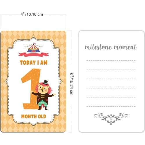 12 Sheet Milestone Photo Sharing Cards Baby Age Cards - Baby Milestone Cards 97BC