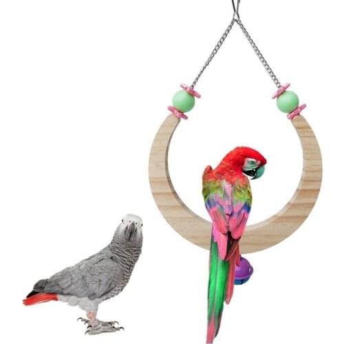 AsyPets Check Accessories