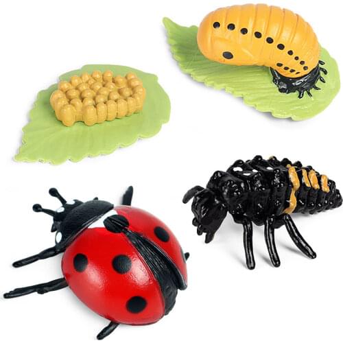 Simulation Animal Insects Marine Life Model Action Mini Frog Turtle Butterfly Growth Cycle Animal PVC Movable Doll Kids Gift Toy