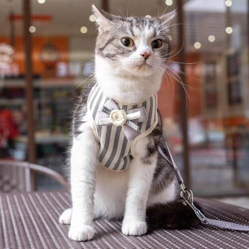 Cheap Harness For Cats Adorable Dog Pet Small Animals Breeds Safety Walking Vest Harness With Matching Lead Leash S XL Products