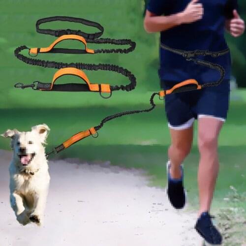 Pet Dog Leash for Running Hands Free No Pull Dog Leash with Adjustable Waist Belt Easy-Control Pet Jogging Walking Lead Rope