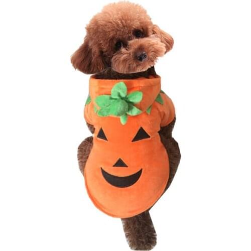 Halloween Demon Pumpkin Dog Jacket Coat Autumn Winter Cute Pet Transformation Dress Home Cosplay Pumpkin Clothes dog clothes
