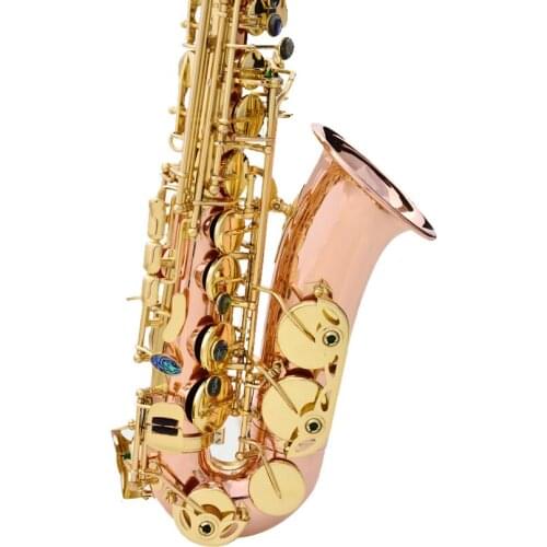 Gold Lacquer Phosphorous Copper Alto Instrument Accessories China Sax Professional Eb Saxophone Alto