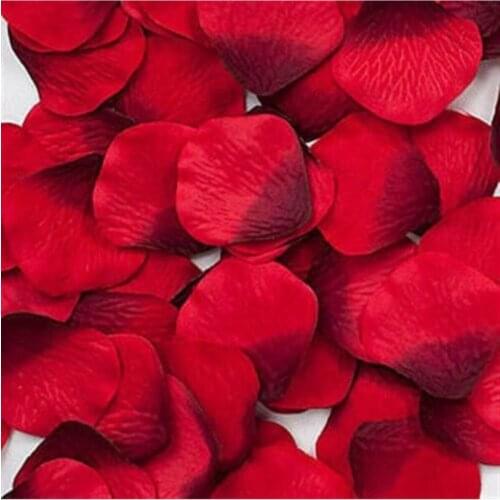 KAZIM ALIÇGül Leaf 400 Pcs Valentines day Rose Dried wedding bride mariage хна henna