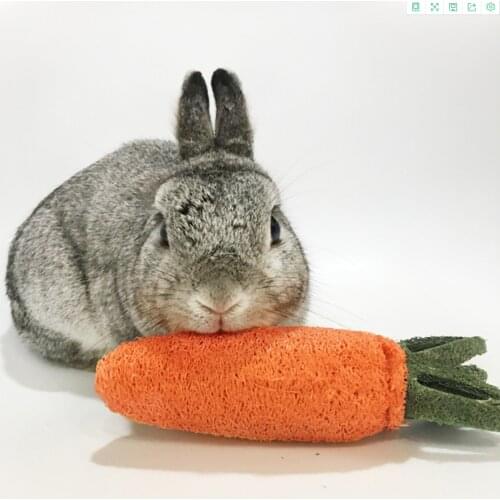 Hamster Chew Toy loofah Sponge Carrot For Rabbit Guinea Pig Chinchilla Toy For Tooth Cleaning Radish Molar Toys Pet Supplies