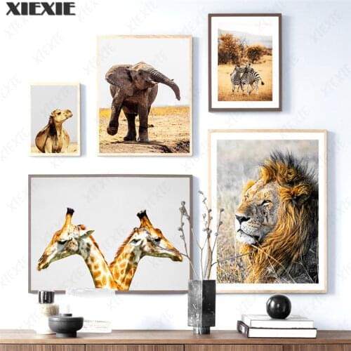Lion Elephant Giraffe Zebra Camel Canvas Painting Nordic Wall Art Posters and Prints Animal Wall Pictures for Living Room Decor