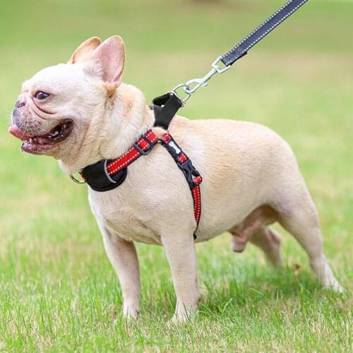 Dog Harnesses Adjustable Cat Dog Traction Rope Chest Strap Walking Leash Harness Pet Supplies Выгульваць сабаку