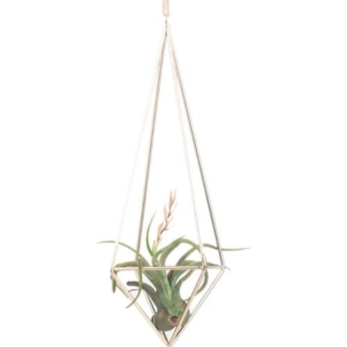 Hanging Tillandsia Air Plants Freestanding Wall Tillandsia Plants Rack Rustic Metal Wrought Iron Geometric Plant Holder