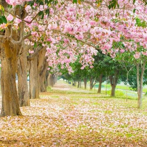 Cherry blossom photo background vinyl newborn portrait spring outdoor picnic photography backdrops for photo studio props F-1031