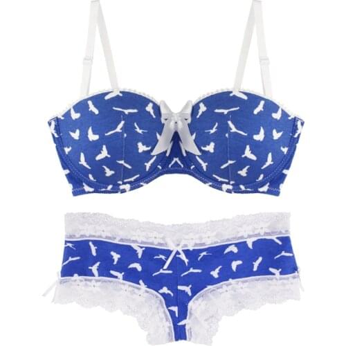 MiaoErSiDai Sexy Girls Bra Set Flying Bird Blue Printed Underwear Lace Bralette And Brief Padded Bra Have Small Size 28-36 A-DDD