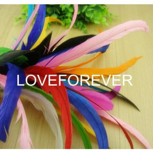 9 colors 100pcs/Lot Quality Colored 25-30cm Loose COQUE ROOSTER TAIL FEATHERS/long feathers for Hats or Costumes freeshipping