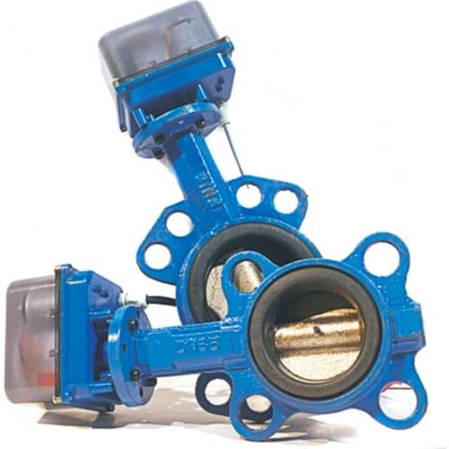 DN40,DN50,DN65 Electric Butterfly Valve,12/24V AC/DC,AC220V Ductile Iron Motorized Butterfly Valve