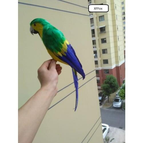 Big real life green&yellow parrot model foam&feather simulation parrot bird gift about 42cm xf0142