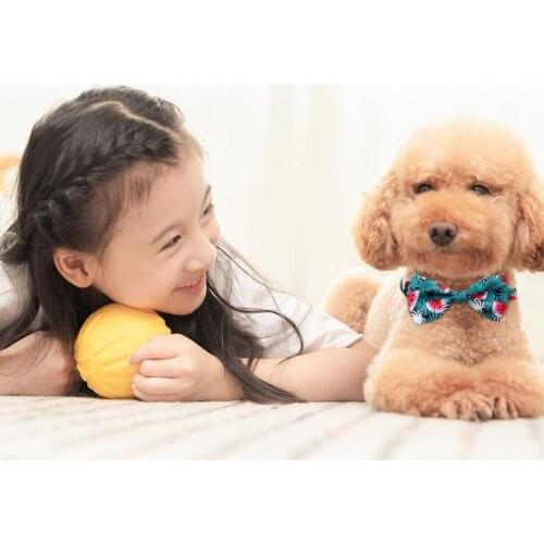 Pet Necktie Lovely Colorful Floral Print Pet Grooming Exquisite Pet Cats Dog Decorative Collar Pet Accessories for Photo Shot