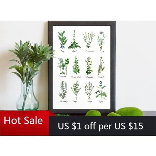 Kitchen Decor Botanical Chart Wall Art Canvas Painting Prints Herbs and Spices Picture Herbarium Poster Aesthetic Room Decor