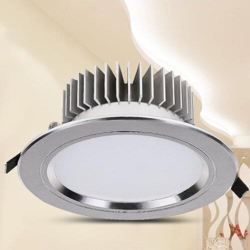 Zhiyejiand Spotlights