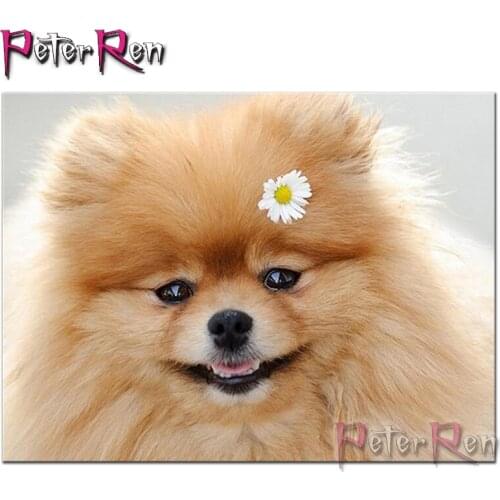 Diamond painting DIY animal Hiromi dog diamond embroidery Pet Puppy Pattern full Rhinestones Cross Stitch living room decoration