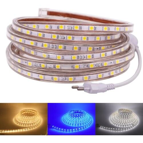 110V 220V LED Strip EU UK US Waterproof 60LEDs/m White / Blue / Warm White Flexible Tape Ribbon LED Light Strip