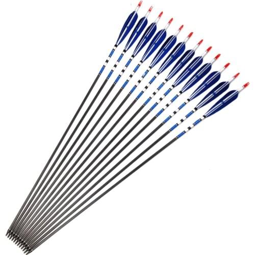 30 Inches Spine 400 30 inches Carbon Arrows with Iron Arrowhead for Shooting Hunting Archery Arrows Bow