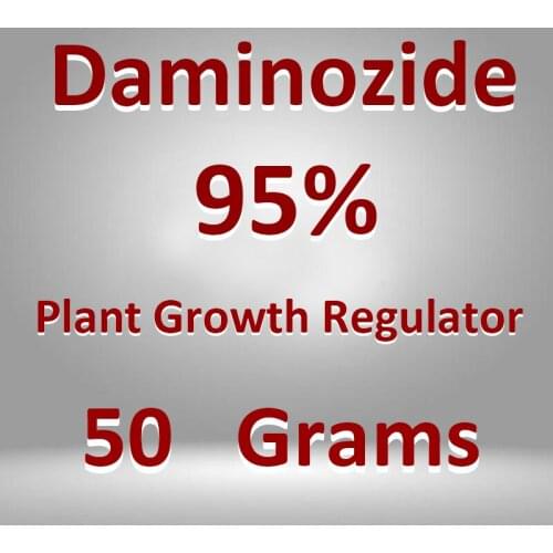50g Daminozide Powder 95% Plant Hormone Plant Growth Regulator