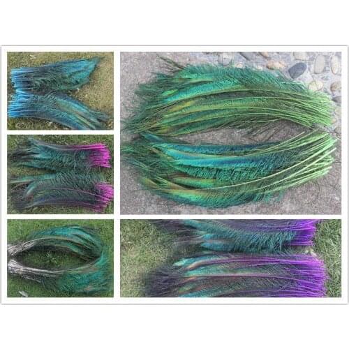 Free delivery! 20 units / lot each color dyeing peacock sword 12-14 inches from 30 to 35cm