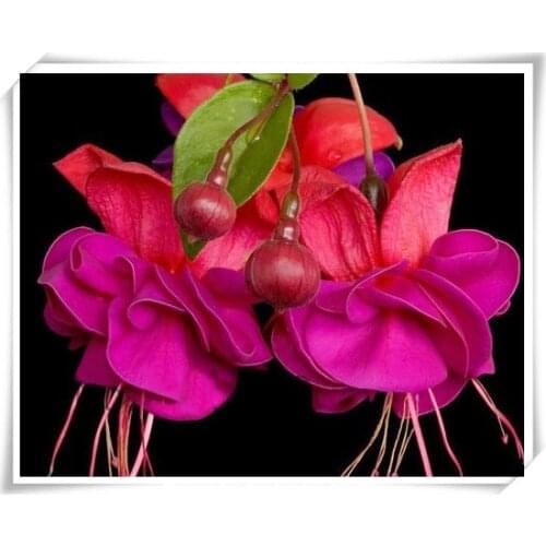 5d Picture Rhinestones Diamond Embroidery DIY Diamond Painting Diamond Mosaic Pattern Embroidery Kit Beadwork Pour The Flower