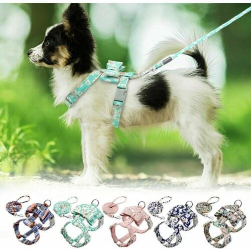 Dog Harnesses and Leash Set Adjustable Soft Vest Harnesses with Stretch Leash for Dogs Cats Dog Supplies