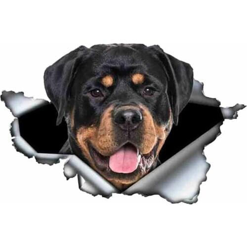 S50477# Various Sizes Personality PVC Decal Rottweiler Dog V7 Waterproof Car Sticker on Motorcycle Laptop Decorative