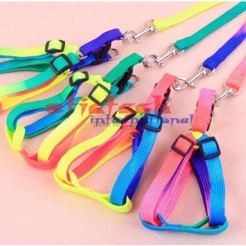 Stictech Collars, Harnesses And Leashes