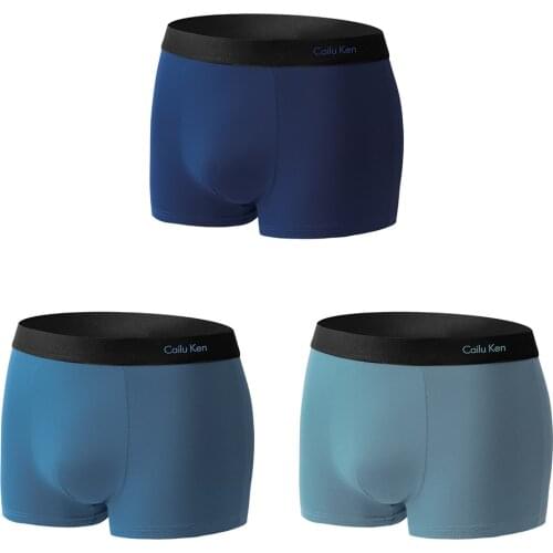 Mens Panties Modal Lingerie Underwear New Underwear Men Plain Boxers Men Underpants Boxer Brand Boxershorts Pack 2021 3PCS