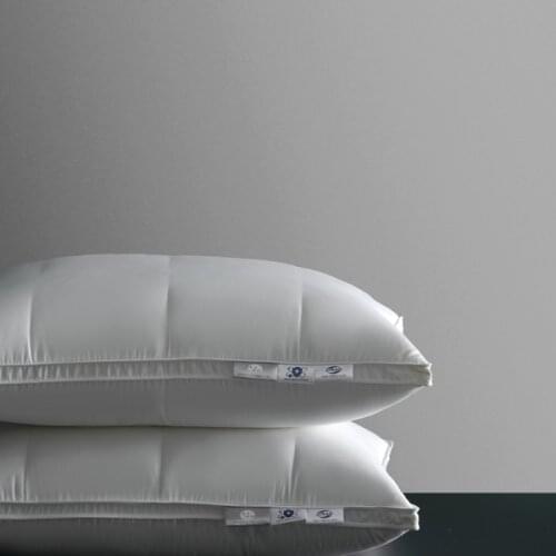 INEFFABLE Large Pillows