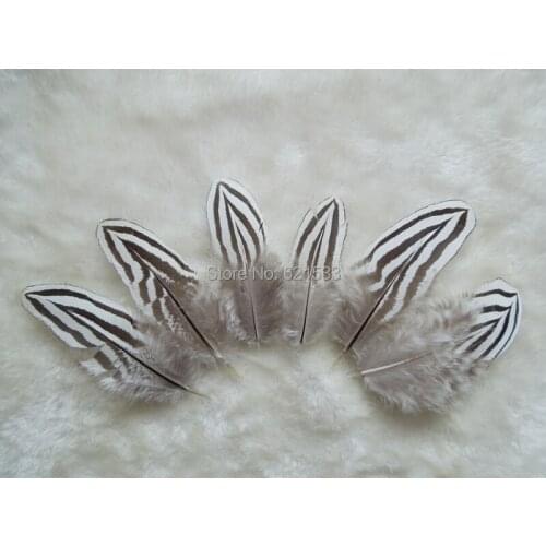 50Pcs/Lot! 7-10cm SILVER PHEASANT PLUMAGE FEATHERS With Thick Bars,Plumes for Milliners,Fascinators&Fly Tie Fisherman