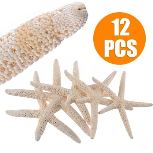 12pcs White Natural Finger Starfish Craft Decoration Natural Sea Star DIY for Beach Cottage Wedding Decor 7-11cm