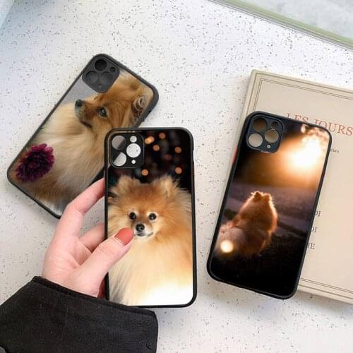 Pomeranian dogs dog Phone Case For iphone 12 11 7 8 plus mini x xs xr pro max matte transparent cover