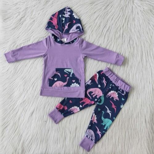2020Toddler Baby Boy Autumn Winter Clothes Cartoon Purple Dinasour Print Long Sleeve Tshirt Tops+Long Pants 2pcs Outfits Set RTS