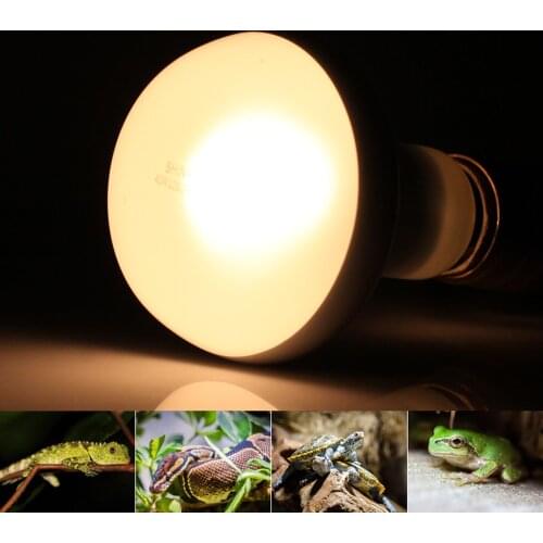 Warm Heating Bulb Pet Light DR80 Amphibia Animal Pet Reptile Lizard Tortoise Snakes Frog Avoid Illness Spotlight Heating Lamp