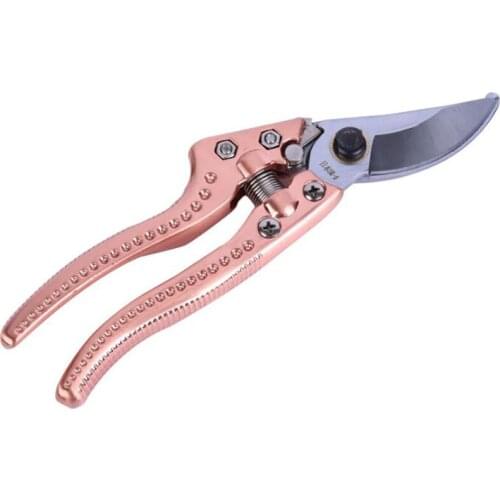 20cm Long Gardening Hand Pruner Pruning Shear with Curved SK5 Blades, Chrome-plated Garden Bypass Trimmer Fruit Tree Shears
