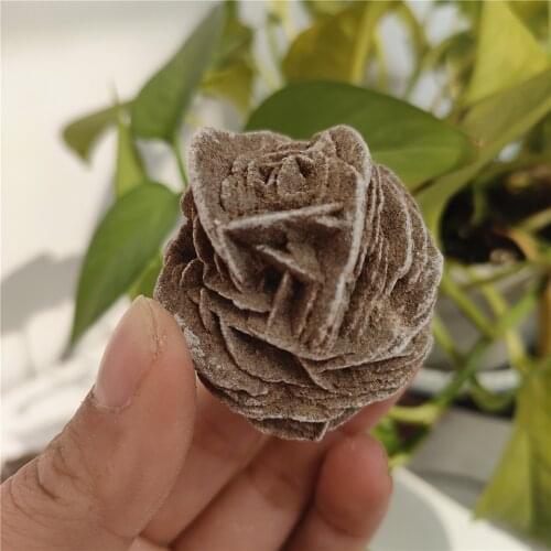 50-200g Natural DESERT ROSE Healing Raw Crystal Stone Mineral Specimen Fengshui Decor