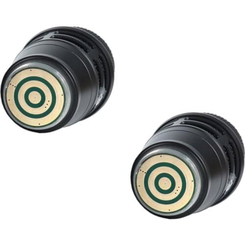 Leicozic 2Pcs AD4D Capsule 645-685Mhz True Diversity Stage Mircrofone Clear Sound Microfono Spare Part Handheld Mic Cap