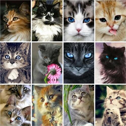 AZQSD Diamond Embroidery Cat Picture Of Rhinestones Full Square Painting Cross Stitch Animals Mosaic Wall Art