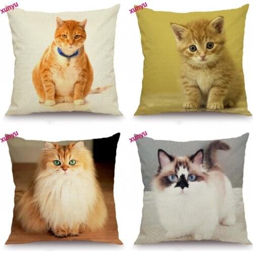 XUNYU Cute Pet Cat Cushion Cover Animal Pillow Case Kids Room Decorative Throw Pillow Cover for Sofa Bedroom 45x45cm BT026