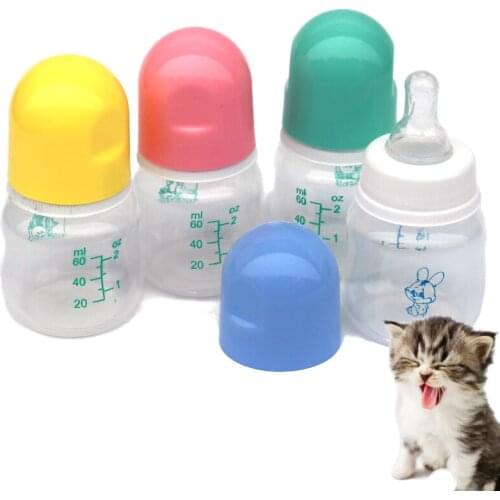 CMinYP Bowls For Dogs