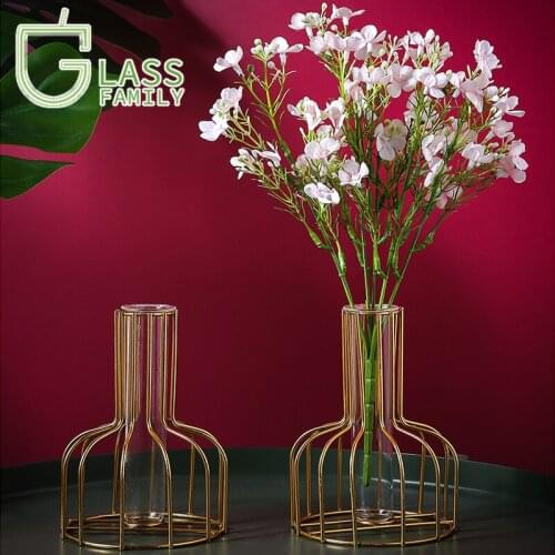 Golden Iron Flower Vase Nordic Style Metal Wire Transparent Glass Tube Planter Holder Living Room Decor for Home Wedding Party
