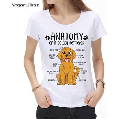 Summer Labrador Retriever Anatomy Lab Dog Lover Gift women tshirt Cute Casual Dog Lovers Print Simple unisex streetwear Top Tees