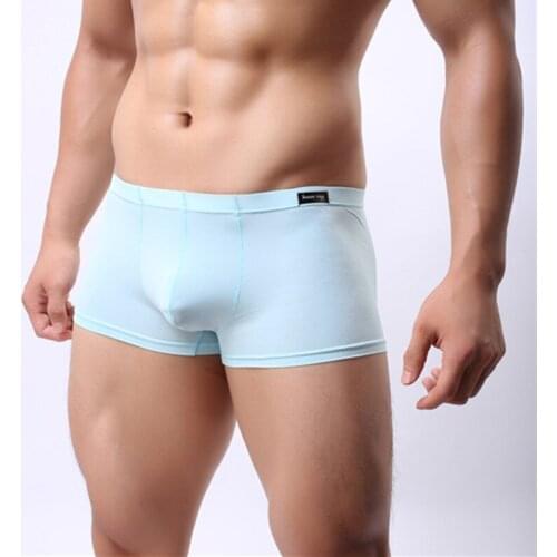 Brand U Convex Pouch Mens Boxershorts Nylon Transparent Male Underwear Boxers Men Solid XXL Boxer Shorts Hombre Sexy Gay