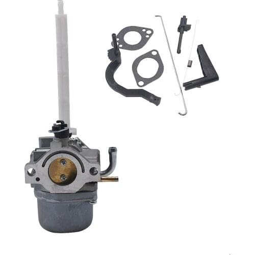 796122 For Briggs & Stratton 793161 696737 794593 20a113 20a114